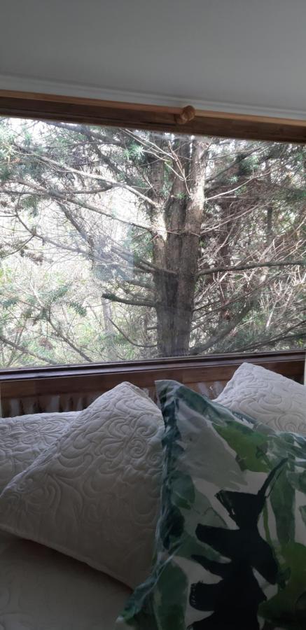 Eco Cabana 巴拉斯港 外观 照片
